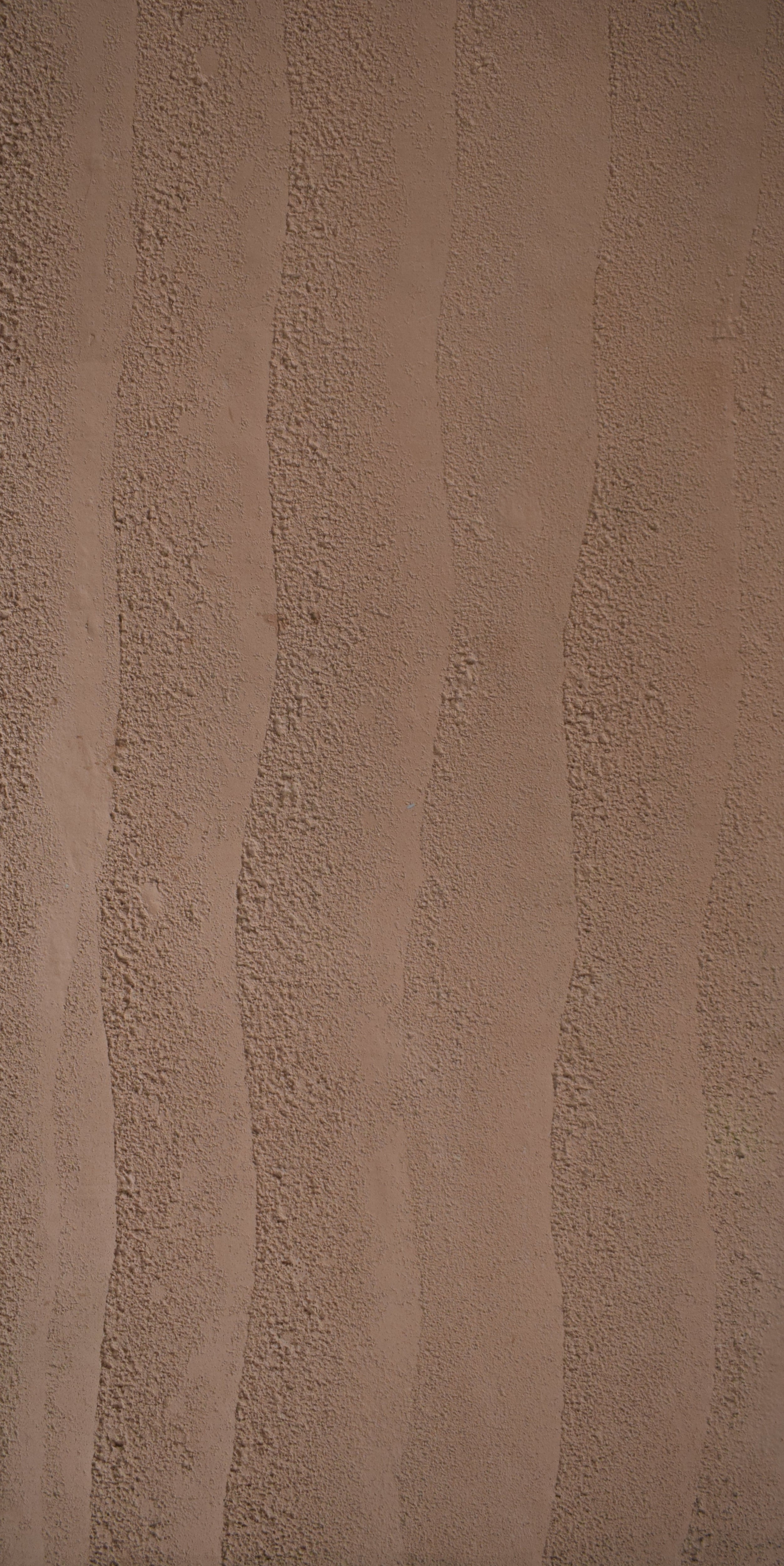 Crimson Carrot DSK-D49378