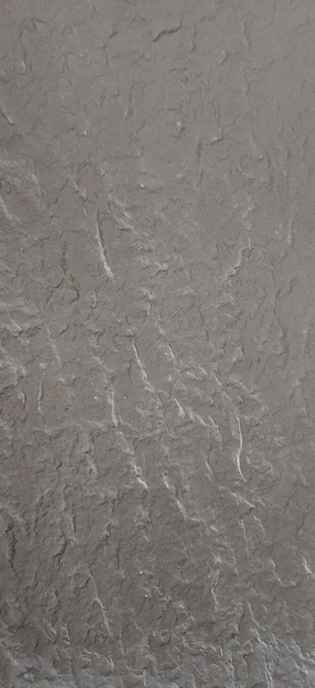 Forest Whisper Slate DSK-ST-M8-C2